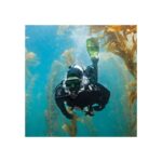 Scubapro Frameless Mask Army Green – Lifestyle Κατάδυση